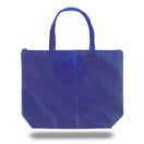 Xl Polypropylene Zippered Tote Bag (20'' W X 15'' H) 100 Gsm-Tote Bag-Brand Your Tote-Royal Blue-Brand Your Tote